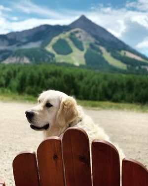 Image post by @skicrestedbutte on Instagram