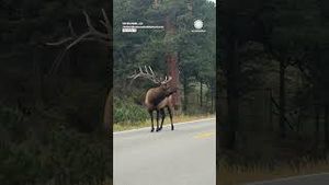 Video post by @accuweather on YouTube