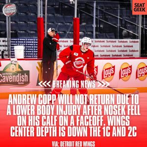 Image post by @redwingscoverage on Instagram