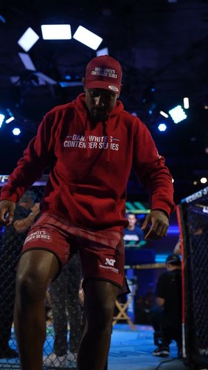 Image post by @ufc_brasil on Instagram