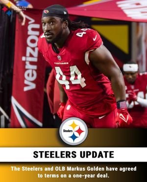 Image post by @steelersupdatecom on Instagram
