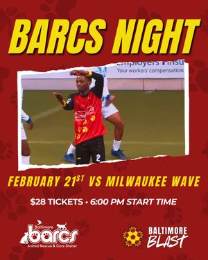 Image post by @baltimore_blast on Instagram