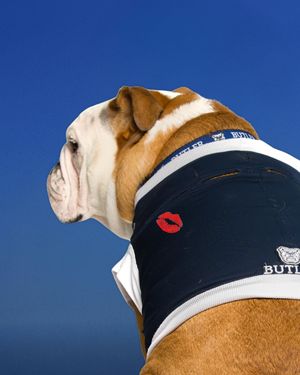 Image post by @thebutlerblue on Instagram