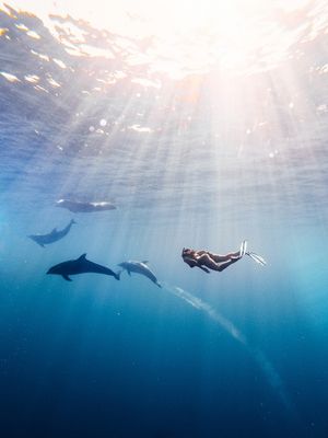 Image post by @gopro on Instagram
