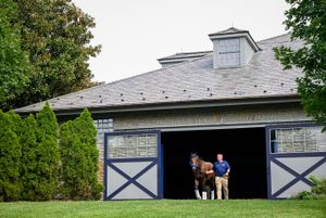 Image post by @coolmoreamerica on Instagram