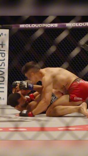 Image post by @pflmma on Instagram