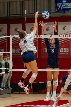 Image post by @DaytonVB on Twitter