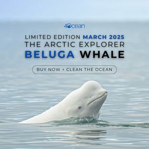 Image post by @4ocean on Instagram