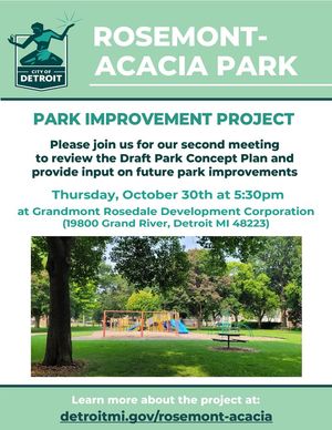 Image post by @DetroitParksRec on Facebook