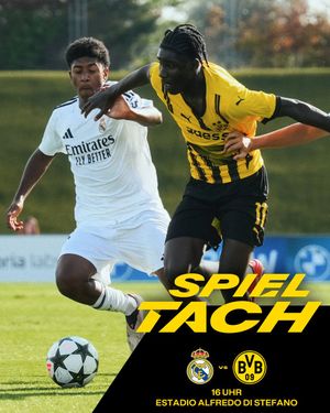 Image post by @BVB on Twitter/X