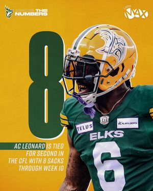 Image post by @goelks on Instagram