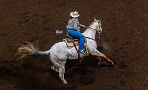 Image post by @crawmedia on Instagram