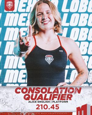 Image post by @unmloboswimdive on Instagram