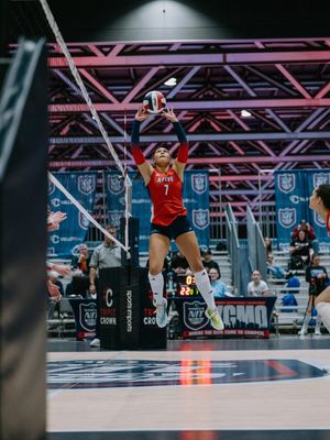 Image post by @wyldfilm on Instagram