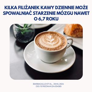 Image post by @neurochirurg_litak on Instagram