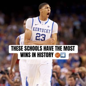 Video post by @cbbonfox on TikTok