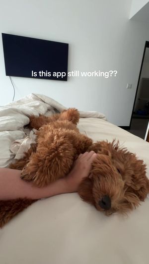 Video post by @tedflixnchill on TikTok