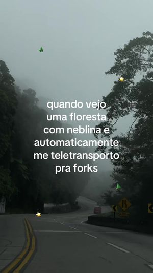 Video post by @clarakunning on TikTok