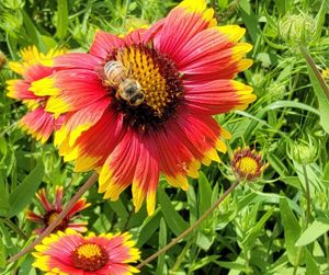 Image post by @txextension on Instagram