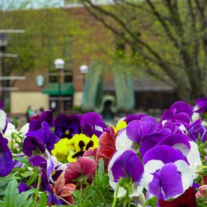 Image post by @marshallu on Instagram