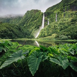 Image post by @discovery on Instagram