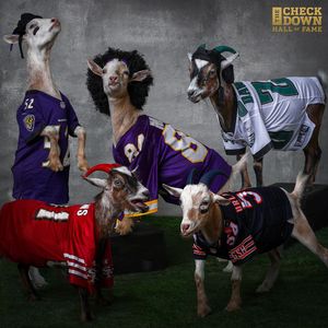 Image post by @nfl on Instagram