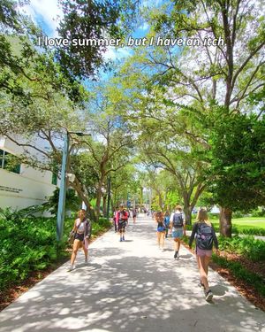 Image post by @univmiami on Instagram
