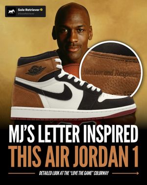 Image post by @soleretriever on Instagram