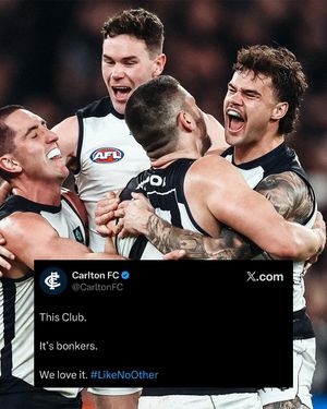 Image post by @carlton_fc on Instagram
