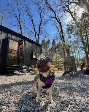 Image post by @getawayhouse on Instagram