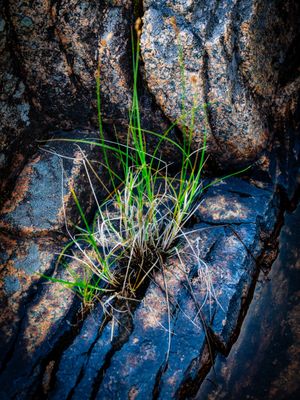 Image post by @jpotterphoto on Instagram
