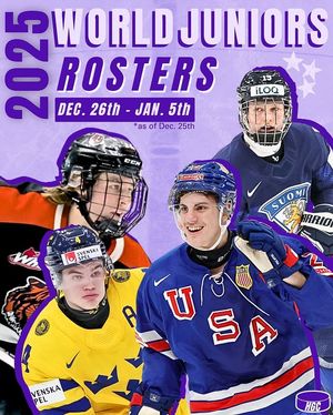 Image post by @hockeygirlsclub on Instagram