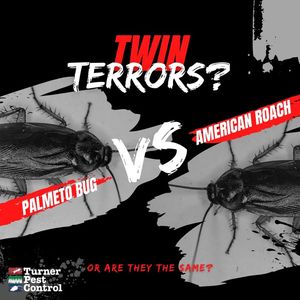 Image post by @TurnerPestControl on Facebook