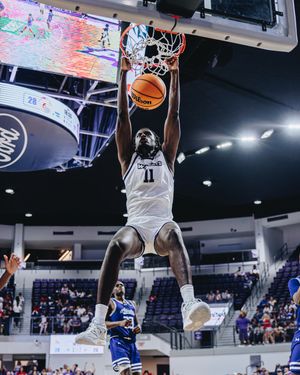 Video post by @alybaylissphotography on TikTok