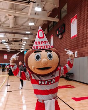 Image post by @thebrutusbuckeye on Instagram