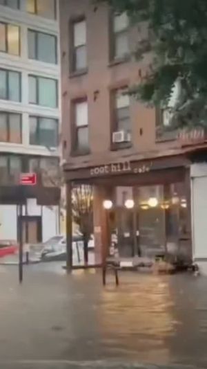 Video post by @drabeleza on Instagram