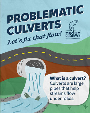 Image post by @troutunlimited on Instagram