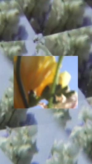 Video post by @jomalonelondon on TikTok