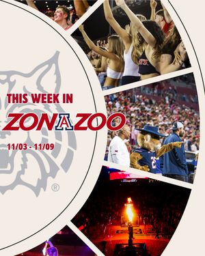 Image post by @zonazooofficial on Instagram