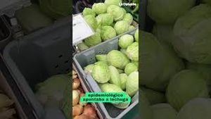 Video post by @laopinionla on YouTube