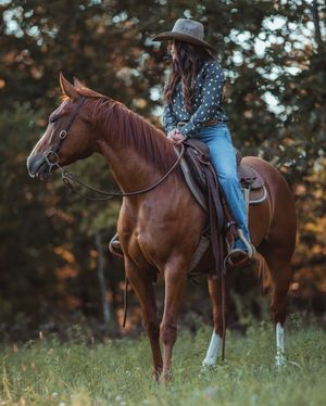 Image post by @kimklavel on Instagram