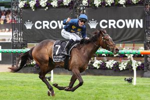 Image post by @flemingtonvrc on Instagram