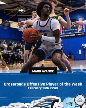 Image post by @usf_mbkb on Instagram