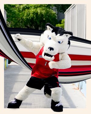 Image post by @northeastern on Instagram