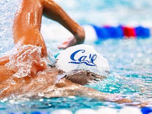 Image post by @calmenswim on Instagram