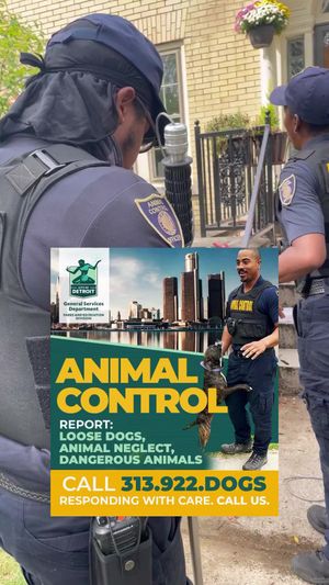 Video post by @DetroitGSD on Facebook