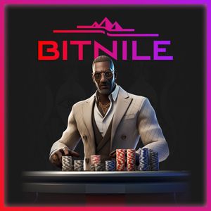 Image post by @bitnilecom on Instagram