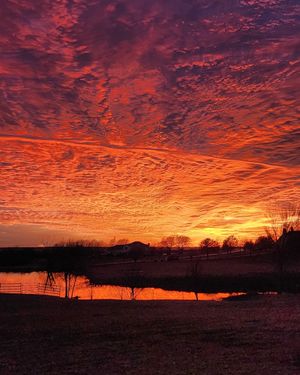 Image post by @txextension on Instagram