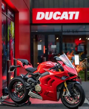 Image post by @panigalers on Instagram