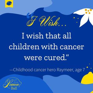Image post by @alexslemonade on Instagram